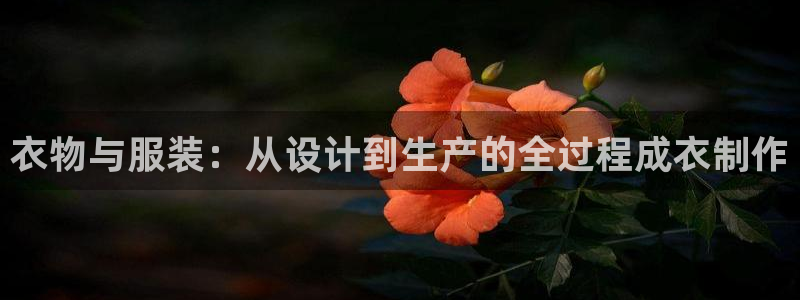天辰娱乐服务