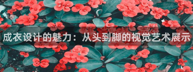 天辰娱乐官网平台下载