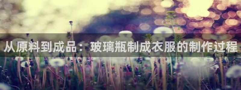 菲律宾天辰娱乐