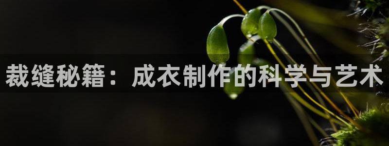 天辰娱乐测试